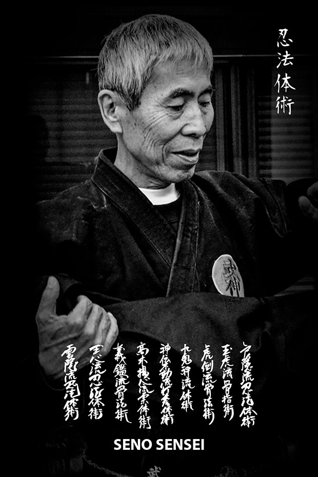 seno sensei